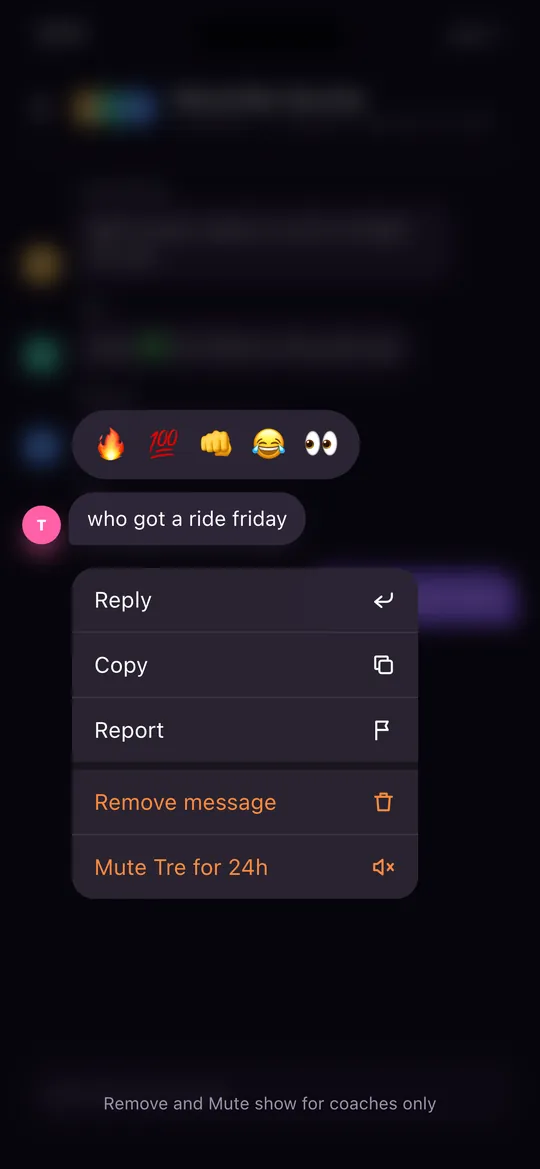 Report, remove and mute options on a chat message